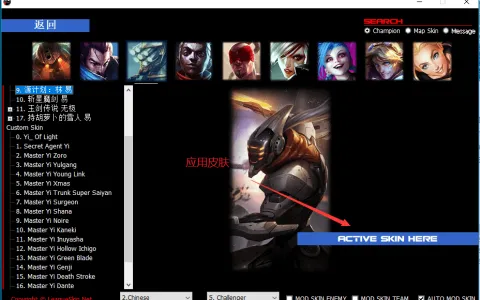 全服通用LOL换肤助手LEAGUESKIN12.4