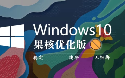 【果核】Windows 10 Pro 21H2(19044.1826) 优化精简版