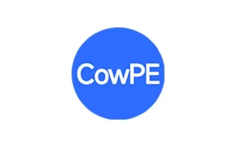 CowPE v1.1.0 纯净好用的PE工具