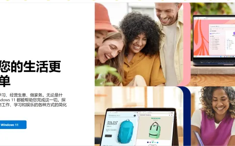 正版还是盗版？这是一个问题。