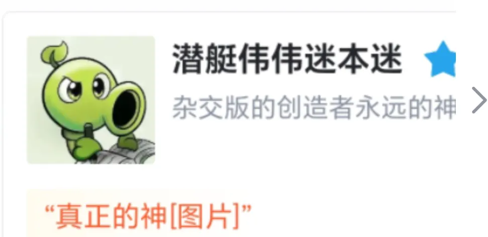 image-20240608190640790