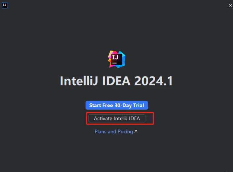 JetBrains IntelliJ IDEA v2024.1 激活版 (Java集成开发IDE)
