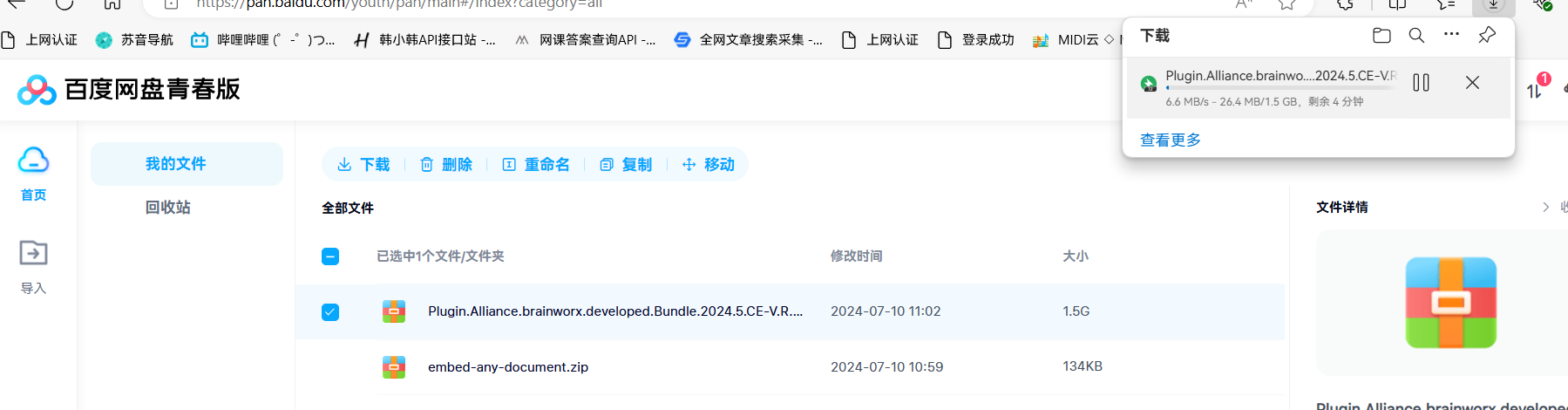 image-20240710110313691