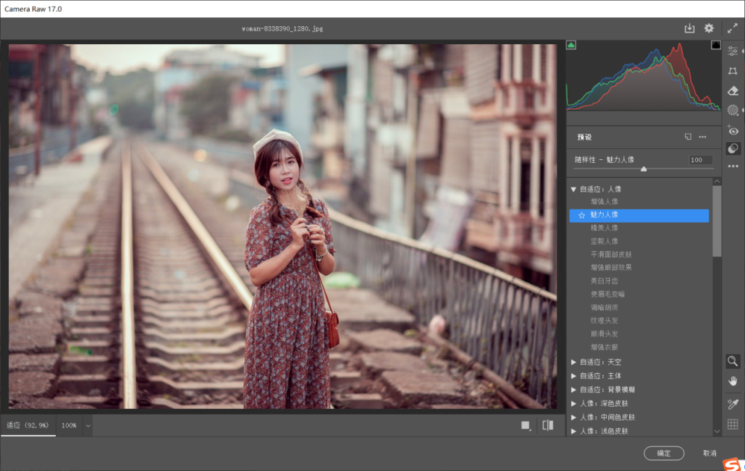 Camera Raw 17.0——Ai生成式扩展