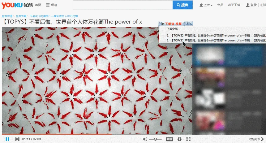【正版特惠】Windows 下载神器 IDM 限时优惠，49 元起步，118 元即享终生授权