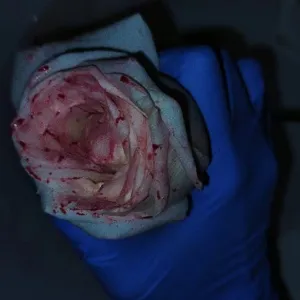 为了应付的头像