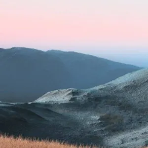 牛鬼蛇神的头像